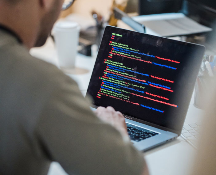 Person Working on Laptop 3